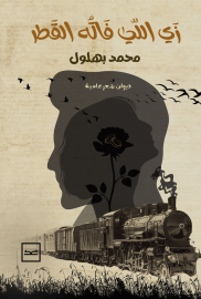 زي اللي فاته القطر