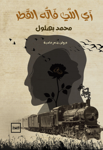 زي اللي فاته القطر